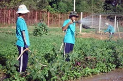 TPHCM: Tỷ lệ tái nghiện sau cai trên 90%