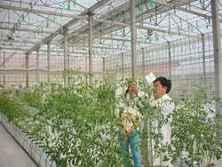 Hội Nông dân TPHCM ký kết phối họp với 2 Sở ngành
