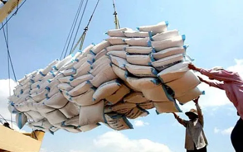 VĐHN: Nhà nông phải suy nghĩ và hành động trong sản xuất