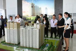 Luật cần đảm bảo năng lực tài chính của doanh nghiệp