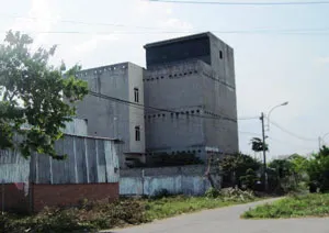 Quận 2 không để phát sinh gia tăng các nhà nuôi chim yến