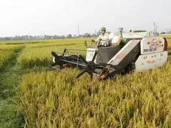 TPHCM vận động hơn 160.000 nông dân đi học