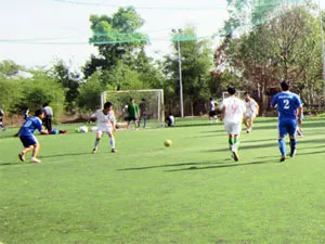Hội thao Nông dân TPHCM lần VIII năm 2014