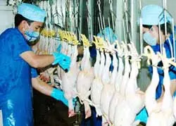 Chậm tiến độ xây dựng nhà máy giết mổ gia súc gia cầm