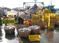 Cấp giấy phép cho ngư dân Tiền Giang