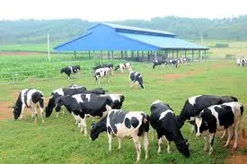 Hoàng Anh Gia Lai, Nutifood và Vissan ký kết hợp tác đầu tư nông nghiệp