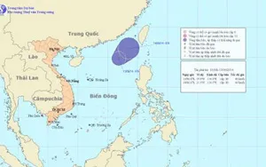 Chủ động ứng phó với áp thấp nhiệt đới trên Biển Đông