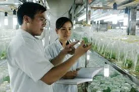 TPHCM: Sẽ mua thêm 25 kết quả nghiên cứu khoa học