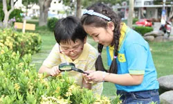 Cho trẻ học kỹ năng sống sao cho hiệu quả - Bài 2: Sau các khóa kỹ năng sống là gì?