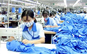 Doanh nghiệp trong nước tránh phụ thuộc vào một thị trường