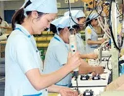 Vai trò của tổ chức công đoàn trong thúc đẩy bình đẳng giới tại nơi làm việc