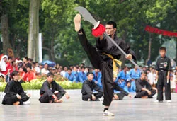 Liên hoan Quốc tế Võ cổ truyền Việt Nam lần thứ V - Bình Định 2014