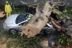 Công tác ứng phó với con bão số 2 Rammasun