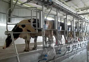 238 hộ nuôi bò sữa nhận các trang thiết bị phục vụ cơ giới hóa ngành chăn nuôi bò sữa