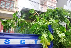 4 người chết, 2 người mất tích, 136 ngôi nhà tốc mái do bão