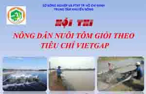 Huyện Bình Chánh đoạt giải nhất Hội thi Nông dân nuôi tôm giỏi theo tiêu chí VietGap