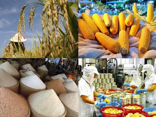 Giải pháp cho nông sản Việt trong nền kinh tế đang phát triển 1