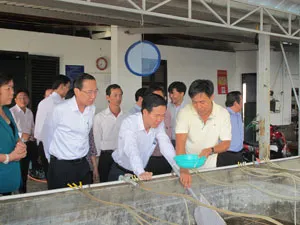 TPHCM đầu tư hơn 1.700 tỉ đồng xây dựng nông thôn mới