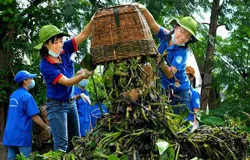 TPHCM: 170 ngàn lượt thanh niên tham gia các hoạt động tình nguyện hè 2014