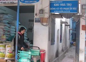 2014: Khi sự bình yên trở về