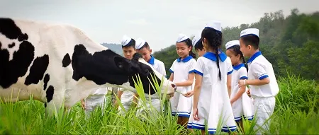 Vinamilk: Hành trình 40 năm Giấc Mơ Sữa Việt 1