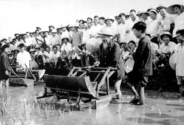 Bác Hồ dùng thử máy cấy lúa cải tiến tại Trại thí nghiệm trồng lúa Sở Nông lâm Hà Nội, tháng 7/1960