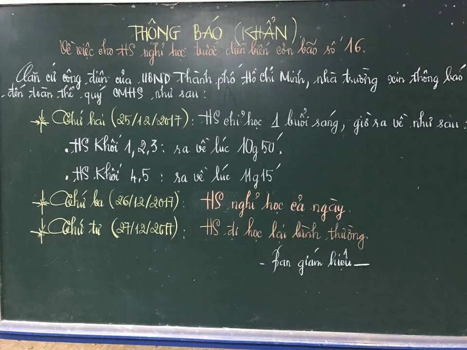 Học sinh TPHCM tránh bão, nghỉ học sớm hơn thông báo