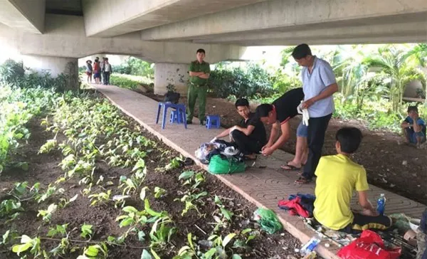 cụ ông gục chết dưới cầu Bình Lợi