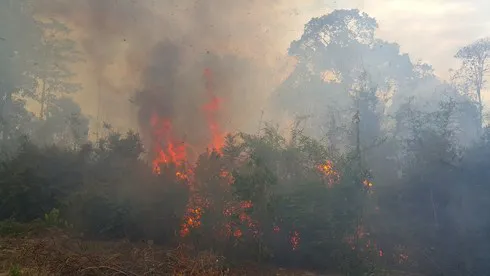 Cháy rừng phòng hộ Gia Lai