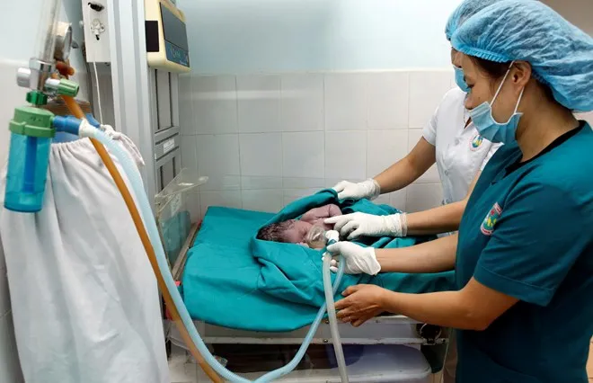 sinh thuận tự nhiên