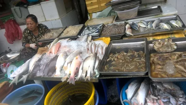 Giá cả thị trường hôm nay 20/3/2018