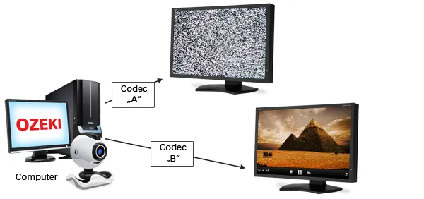 Codec là gì - các định dạng chứa đựng codec?