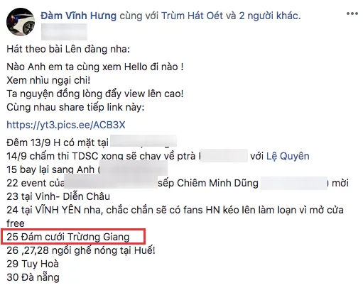 VOH-To-My-trinh-dien-trong-dam-cuoi-Truong-Giang-3