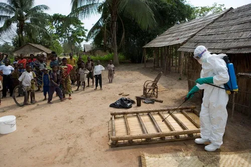 Virút gây dịch Ebola tại Congo không có liên quan với chủng virút tại Tây Phi