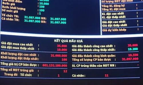 Phiên đấu giá lần đầu của SASCO đạt hơn 601 tỷ đồng