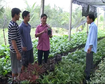 Thanh niên nông thôn làm kinh tế giỏi