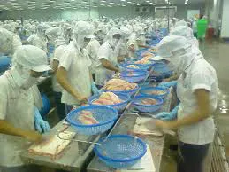 Các doanh nghiệp chế biến xuất khẩu thực phẩm vào Mỹ cần gia hạn đăng ký