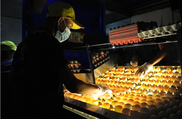 Trao giải cuộc thi ảnh “Tự hào hàng Việt 2014”