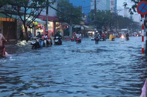 TPHCM: Cần có biện pháp chống ngập căn cơ