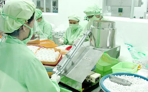 TP.HCM: Chưa có sự liên kết phát triển ngành hóa dược