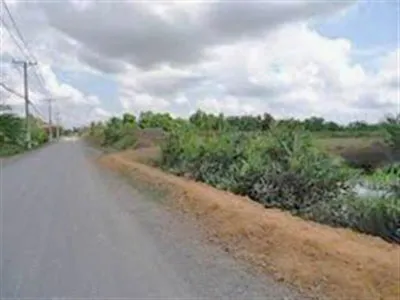 HĐND TP khảo sát nông thôn mới ở xã Qui Đức, huyện Bình Chánh