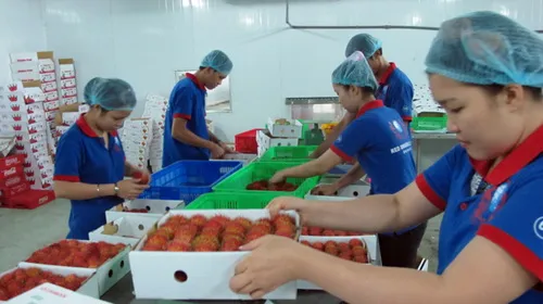 Kỳ vọng đẩy mạnh xuất khẩu sang Hoa Kỳ khi ký kết TPP 