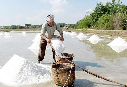 Đoàn giám sát Thành ủy kiểm tra xã nông thôn mới Thạnh An – Cần Giờ