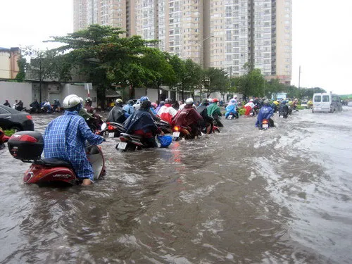Thành phố chủ động ứng phó với triều cường đầu tháng 11/2014