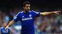 Fabregas bỏ lỡ cuộc so tài giữa Tây Ban Nha và Đức