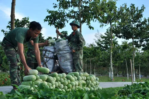 Kiểm tra công tác hậu cần tại Quân khu 7