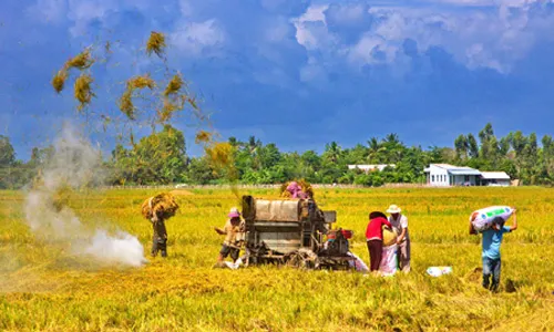 Nâng cao giá trị nông sản Đồng bằng sông Cửu Long