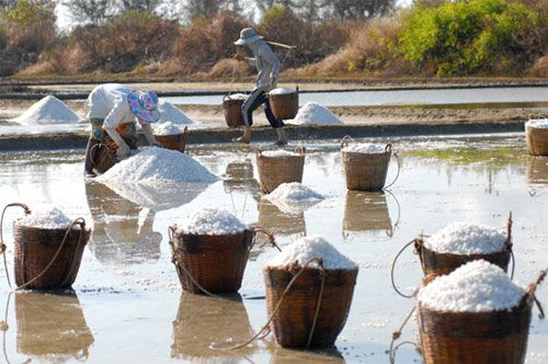 Chủ tịch UBND TP.HCM Lê Hoàng Quân làm việc tại Cần Giờ