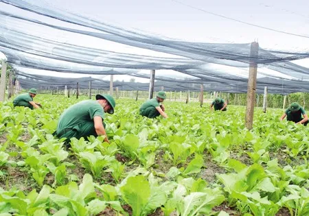 Tăng cường hợp tác giữa Cục hậu cần QK7 với BQL Khu Nông nghiệp Công nghệ cao