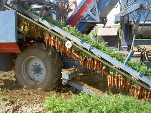 Thiệt hại lớn vì chậm ứng dụng công nghệ